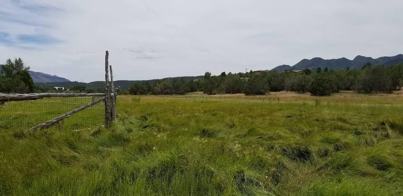 BLACKRIDGE RANCHES - Land