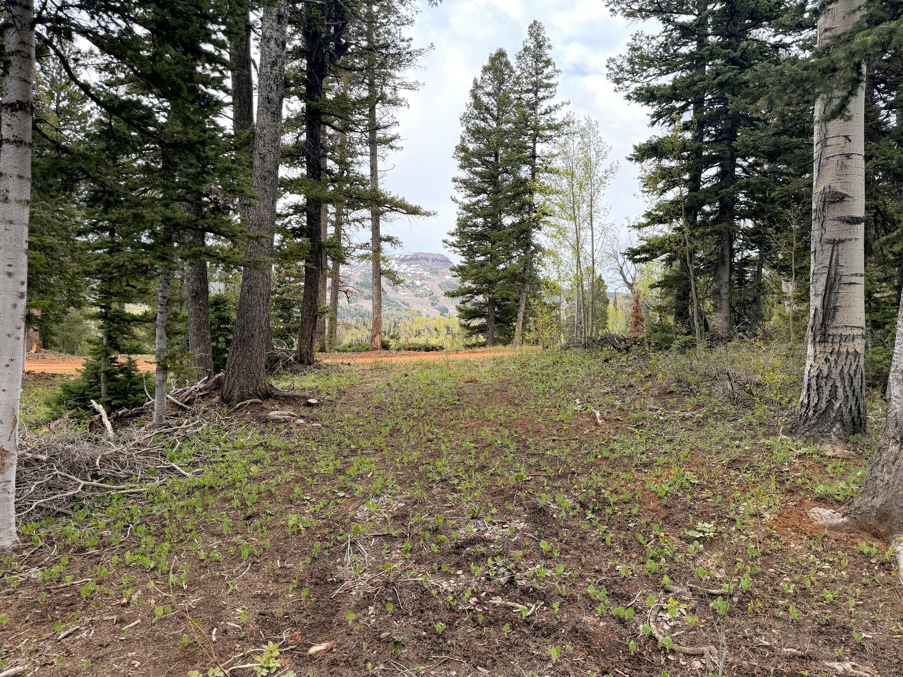 Views of Giant Steps and the Valley! Gorgeous .57 acre lot in Brian Head, just outside the Brian Head town boundary, in unincorporated Iron County. Currant berry bushes, wildflowers, pines, quaking aspens and beautiful skies. The property follows county regulations, allowing camping for up to 16 days, with longer stays 17-180 days possible with a building permit. This corner lot with seasonal access, no utilities and no HOA is ideal for someone looking to camp in the summer and/or build an off-grid cabin. All 4 corners are marked. Seller may offer seller financing with 50% down.