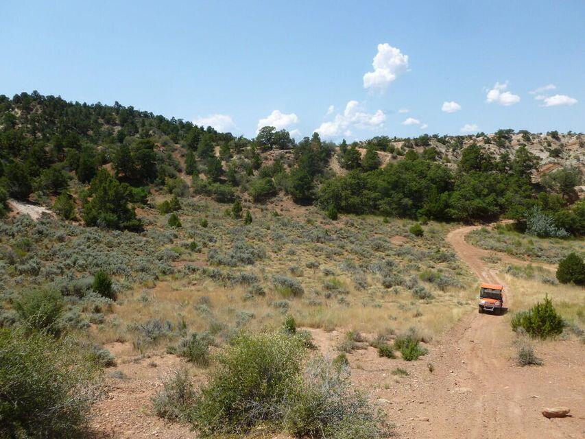 160 acres (8 twenty acre parcels) access described on documents and prelim with 60ft width easement, off 680 S 400E township descriptions all contiguous, rough grade road in and thru property, 7.62 acre ft ground and surface water rights with 1856 priority date  Prelim describes 66 ft access easement deeded 1274 ft long. Tax IDs are in documents Preliminary Title Report from Eagle Gate describes easement access