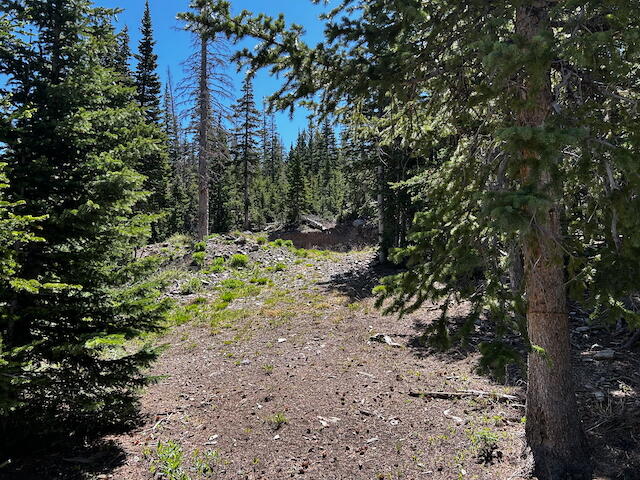 Escape to the mountains and build your dream home or getaway on this Brian Head, Utah lot. Southern Utah's premier alpine destination. At over 10,300 feet, enjoy wooded surroundings, views of Brian Head peak and Cedar Breaks, and year-round recreation. Buildable, sloped terrain borders Brian Head Resort with quick access to lifts and trails. Olympic Drive is being improved for year-round access with plowing, plus planned power and fiber conduit. Perfect for a cabin, chalet or investment with short-term rental potential. Property Highlights:
*	Sloped, buildable terrain perfect for a custom home
*	Minutes from Brian Head Resort ski lifts and hundreds of miles of trails (The resort's property is literally bordering this one) 
*	Nearby access to Cedar Breaks National Monument and Dixie National Forest
*	Year-round access with maintained roads
*	Peaceful alpine surroundings with mature pines and aspens
*	Potential for short-term rental income 

Don't miss this opportunity to own a piece of Utah's hidden mountain paradise. Whether you're planning a full-time residence, seasonal escape, or investment property, this lot is your blank canvas for adventure and relaxation.