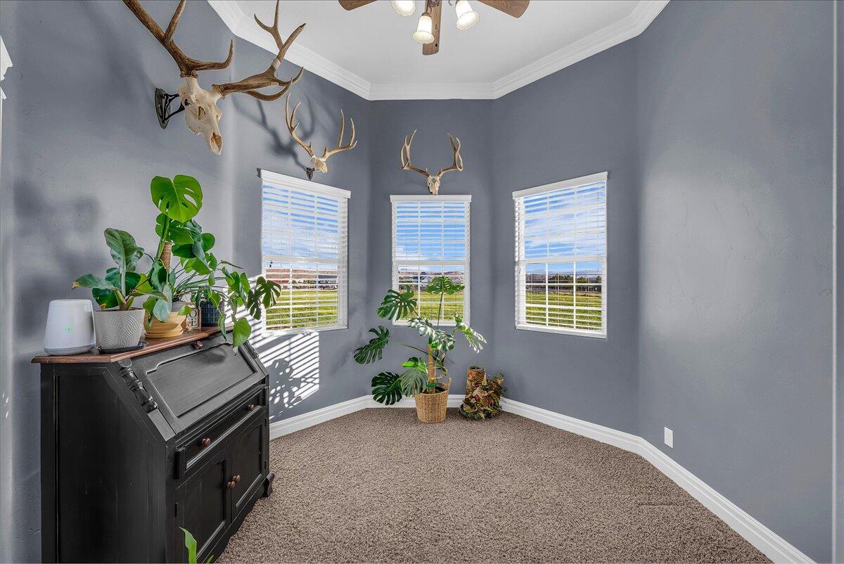 MILNE ESTATES - Residential
