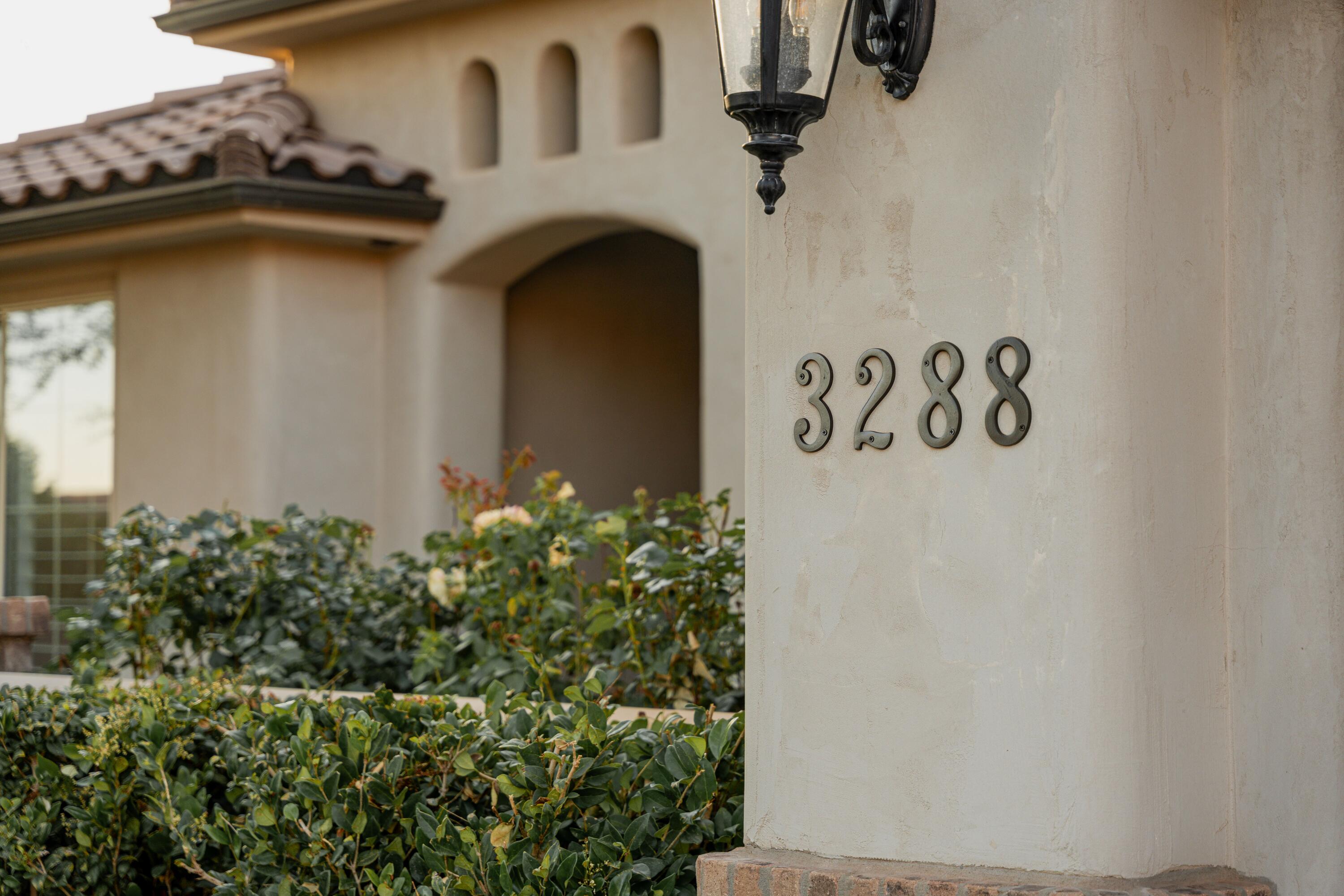 DIXIE SPRINGS - Residential