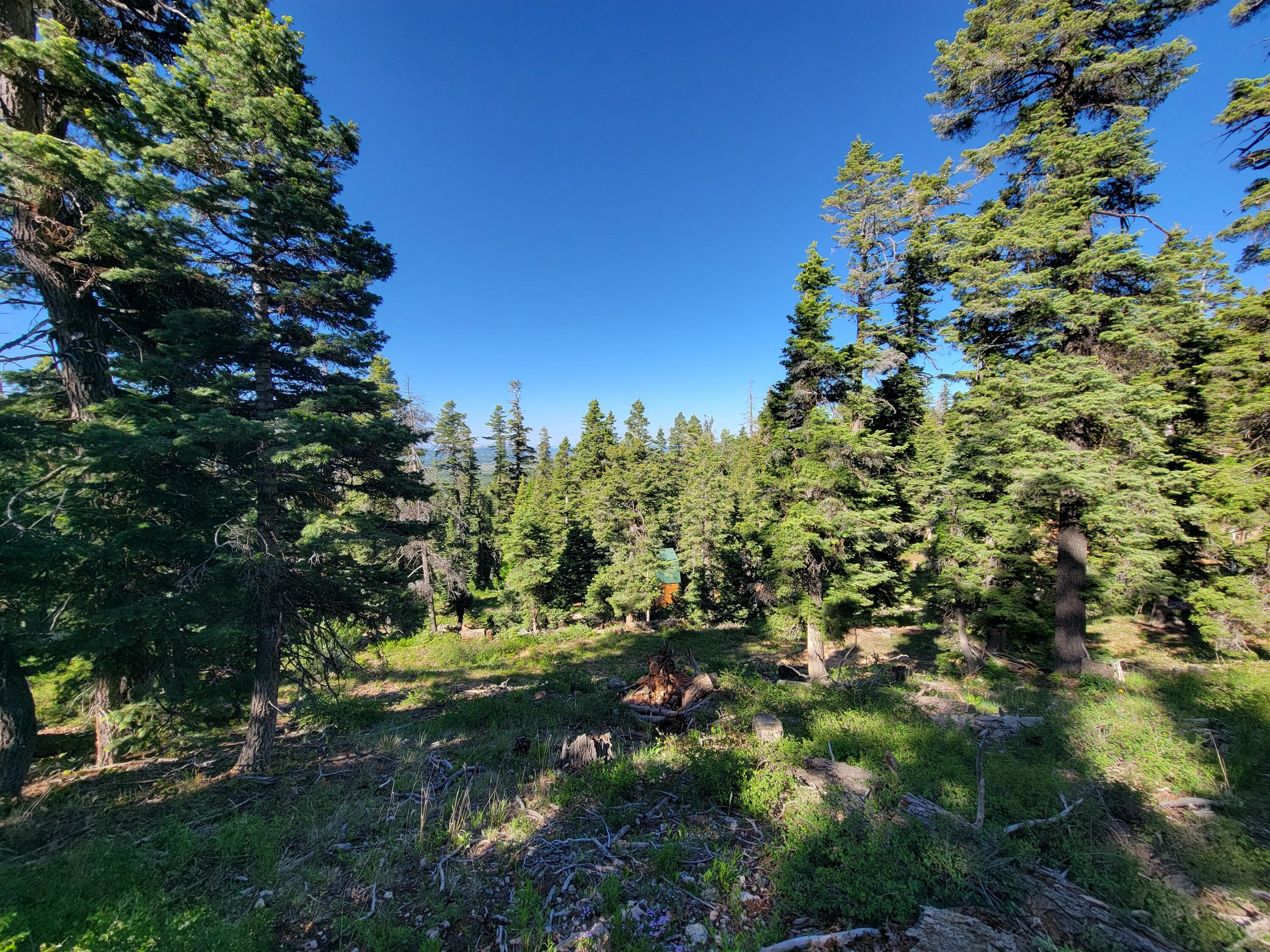 Escape to your mountain retreat! This .60-acre lot in scenic Navajo Lake Estates offers peace, privacy and endless adventure. Only minutes from Navajo Lake and top-notch recreation, it's the perfect getaway to relax, unwind and reconnect with nature. Camp, build your dream cabin, or bring the RV - your mountain escape starts here!
