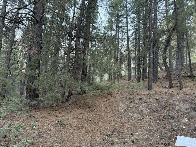 KOLOB PINES - Land