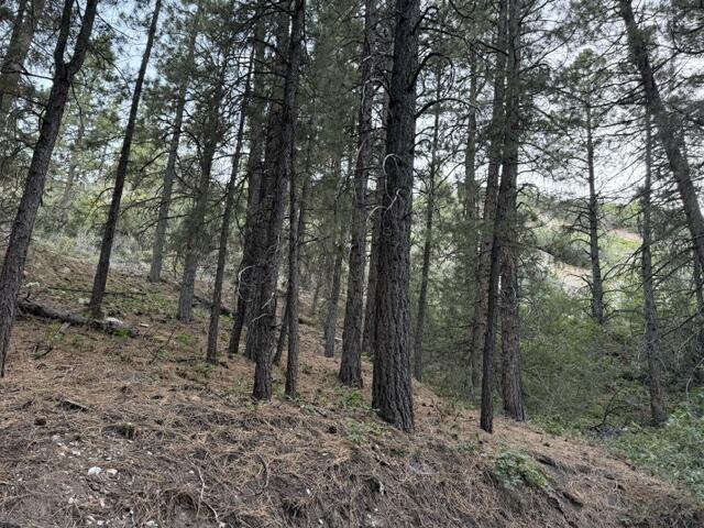 KOLOB PINES - Land