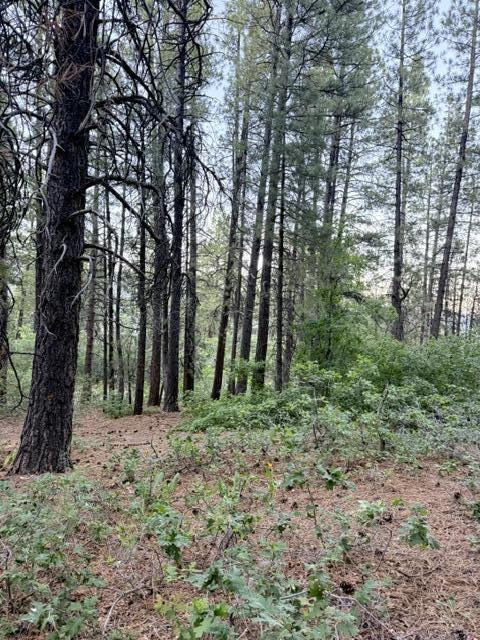 KOLOB PINES - Land