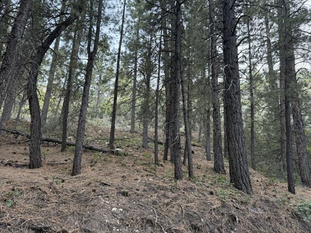 KOLOB PINES - Land