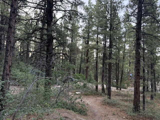 KOLOB PINES - Land