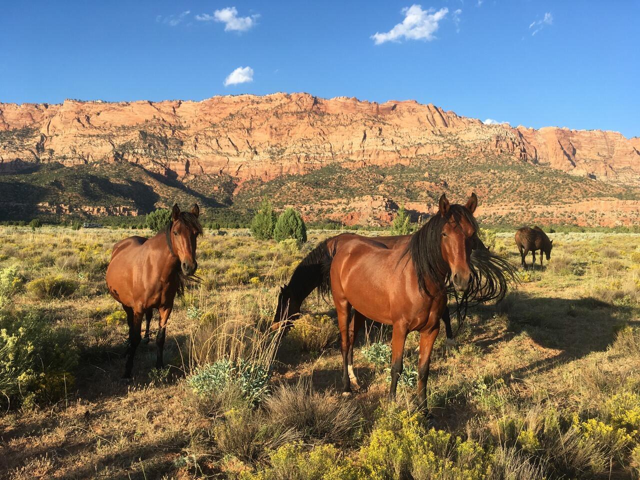 APPLE VALLEY TOWNSITE - Land
