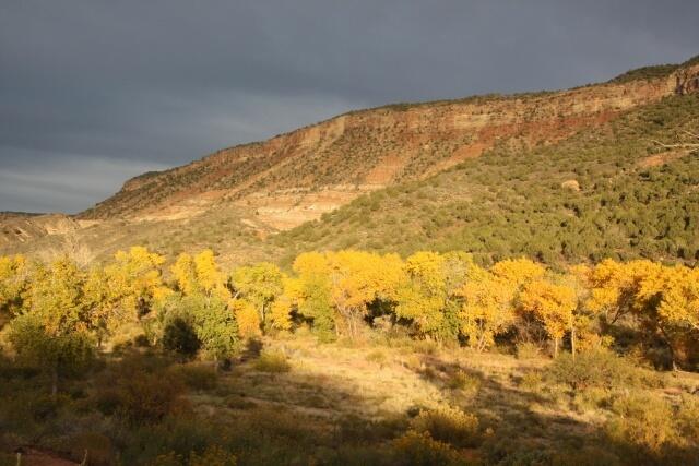 Kolob Gate Gardens is beautiful land surrounded by some of the most diverse and intriguing landscapes. With Sunset Canyon, Zion Park, and Zion's Kolob Terraces in such close proximity you are on Heaven's doorstep!