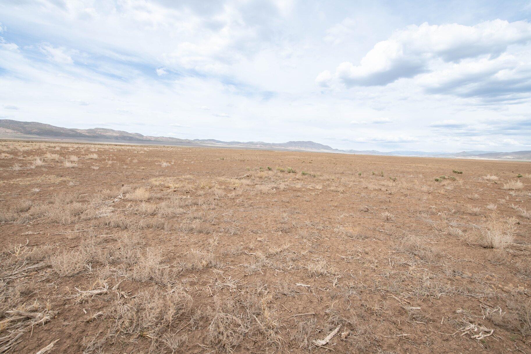 NOT AVAILABLE - Land