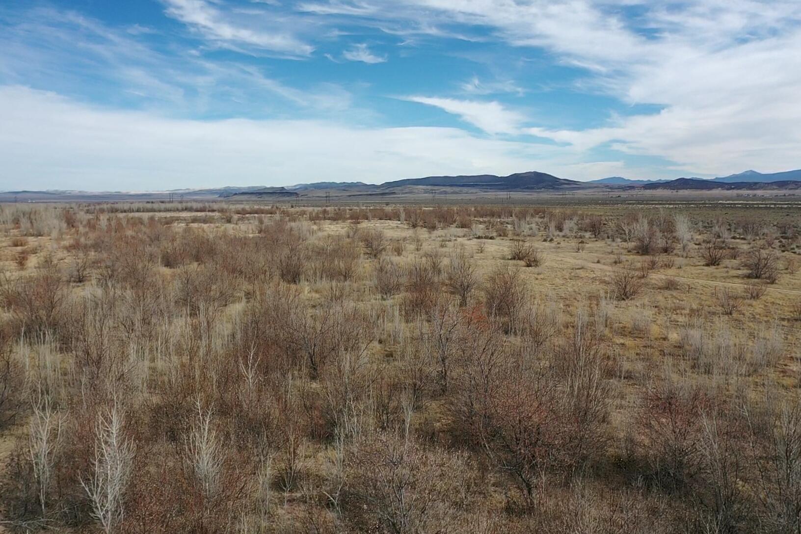 Own Your Private Acre in the Trees - Ideal for a Camp Trailer or Workshop! Looking for a peaceful retreat surrounded by nature? This 1-acre sanctuary is the perfect getaway, offering abundant wildlife—including turkeys, deer, and more—all while being just a short drive from Cedar City, Utah. With no HOA and no CCRs, you have the freedom to use the property however you like. Whether you're looking for a quiet place to park your trailer, build a workshop, or just enjoy the great outdoors, this property is ready for you! Utilities Nearby: Sewer is approximately 450 feet away. Water and power available on 1700 W