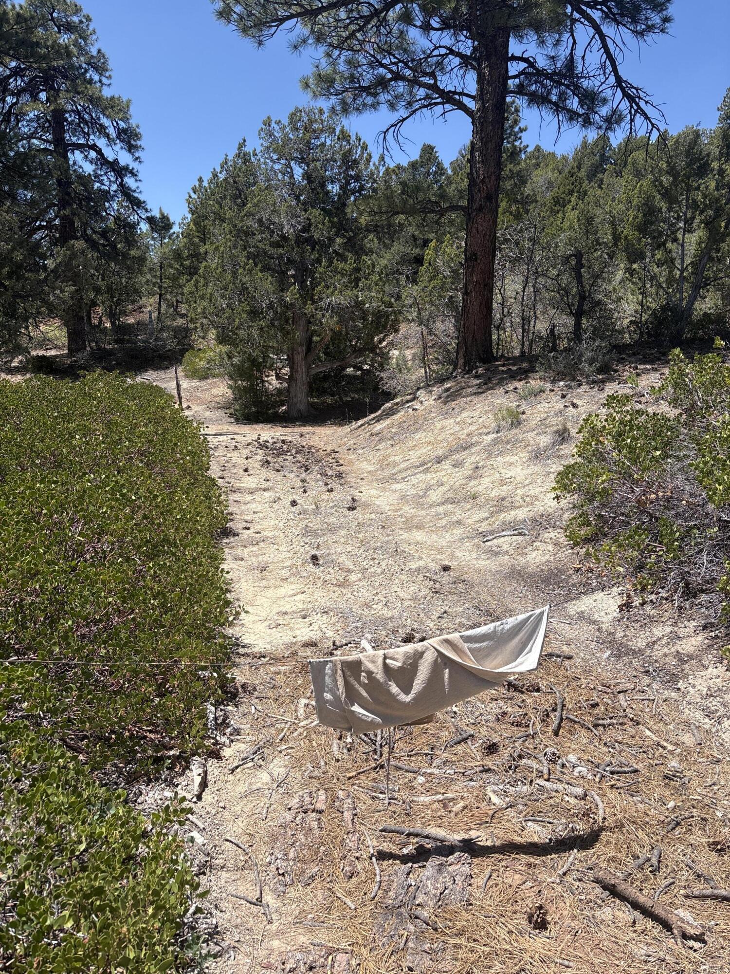 ZION PANORAMA - Residential