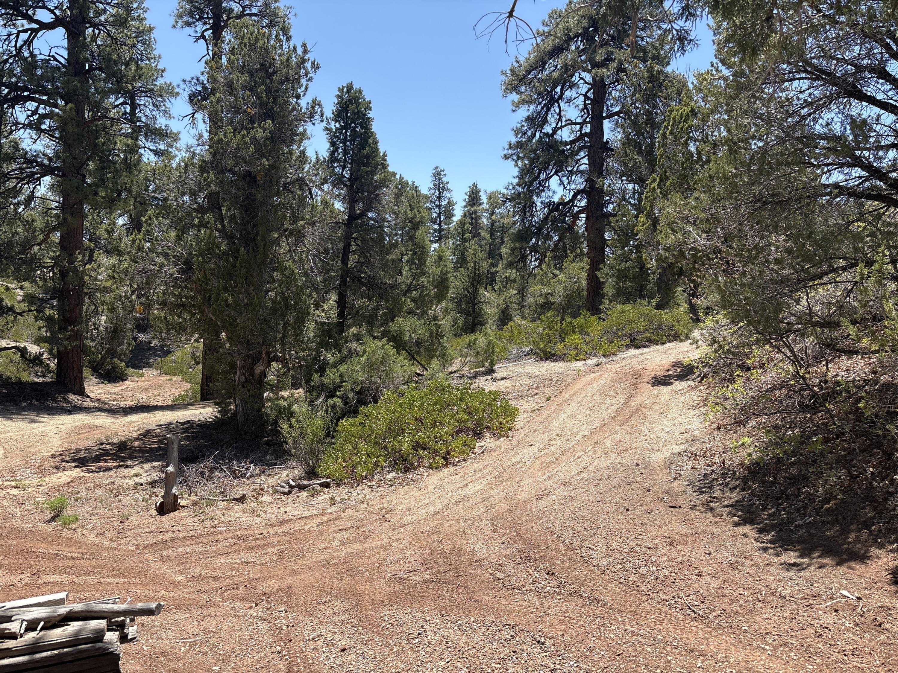 ZION PANORAMA - Residential