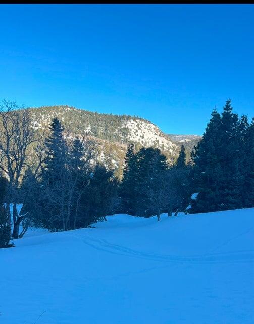 NONE - Land