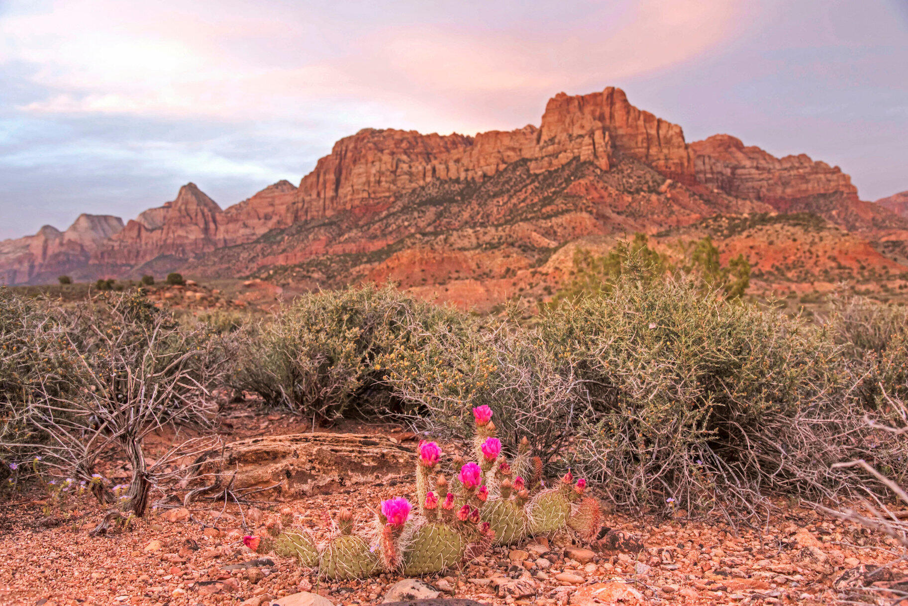 CANYON POINT - Land