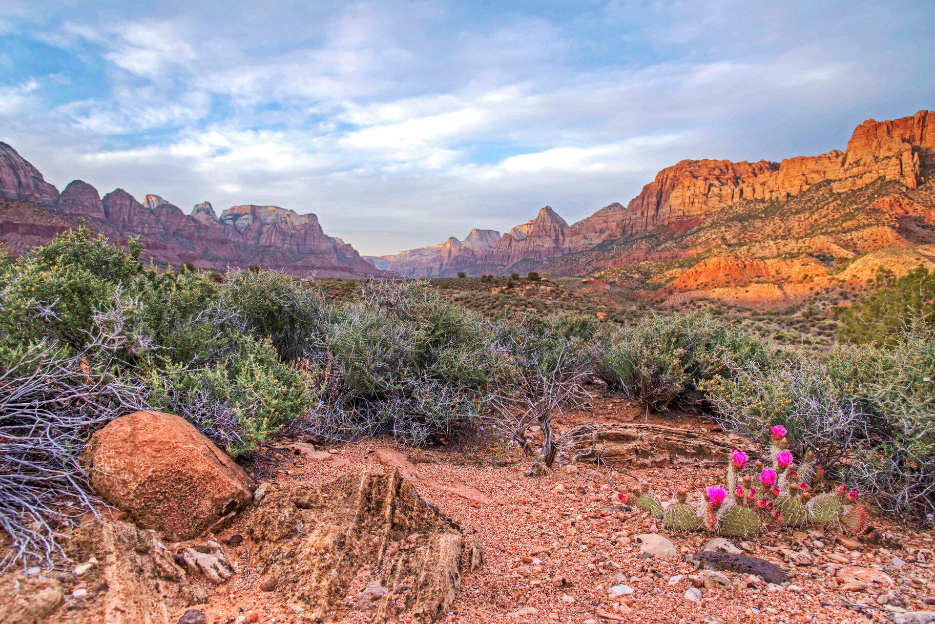 CANYON POINT - Land