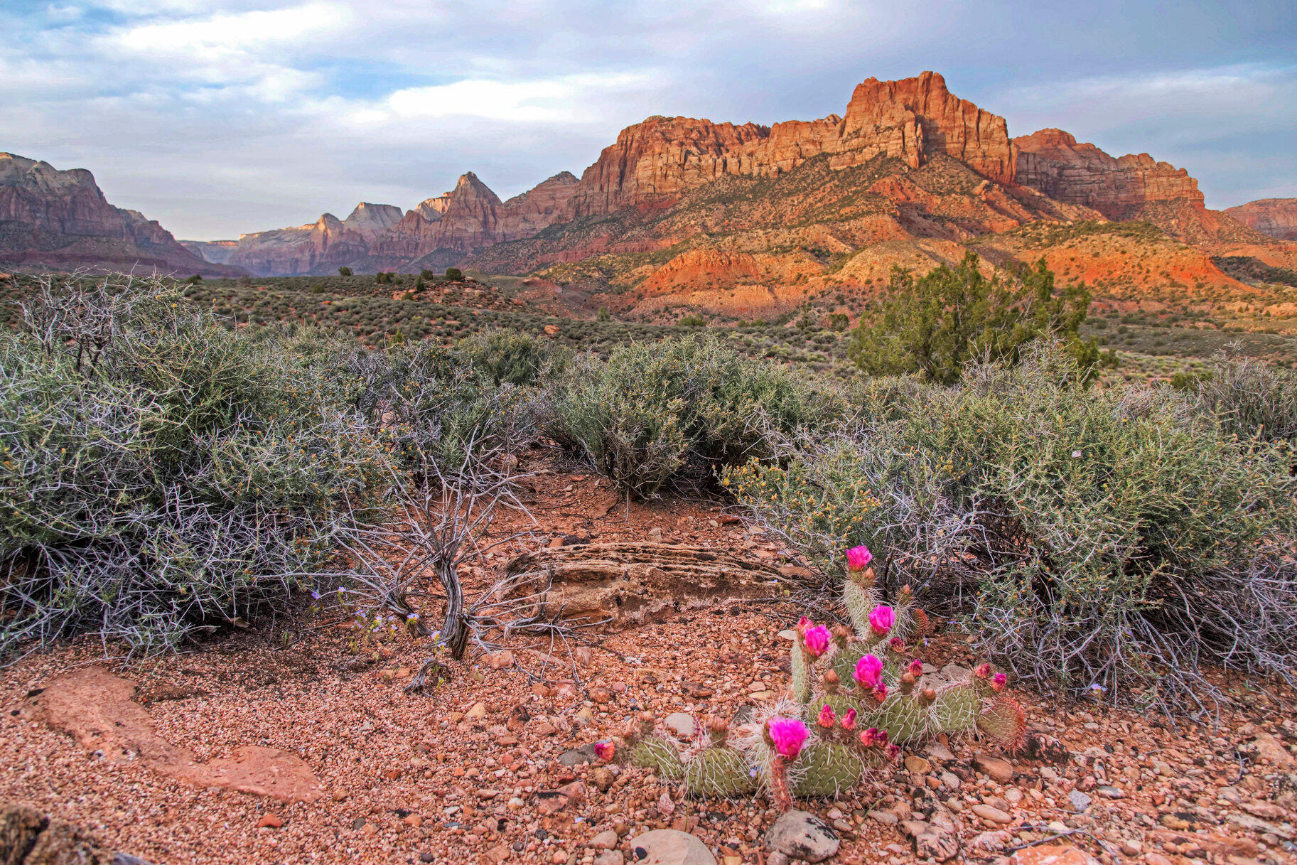 CANYON POINT - Land