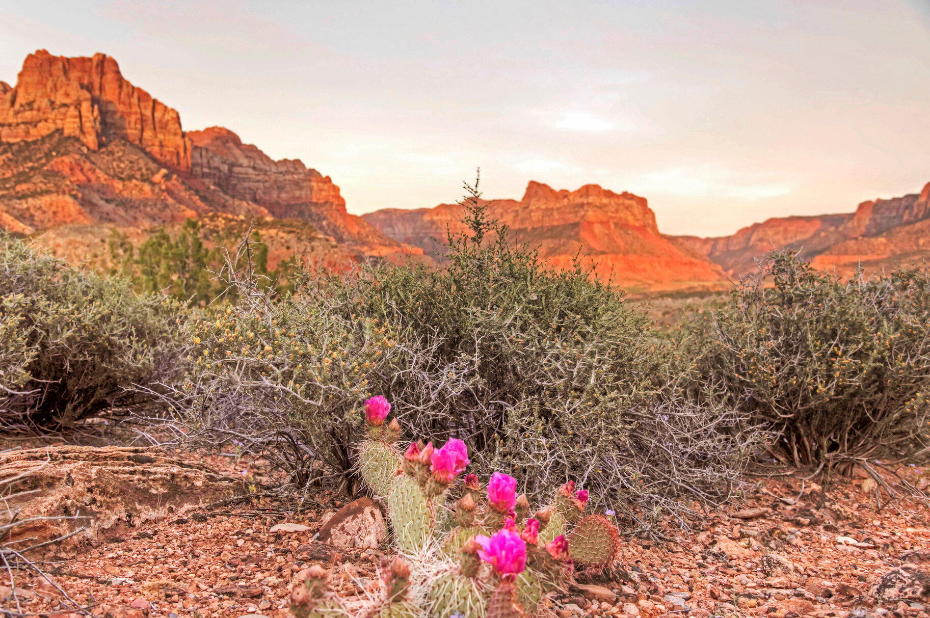 CANYON POINT - Land