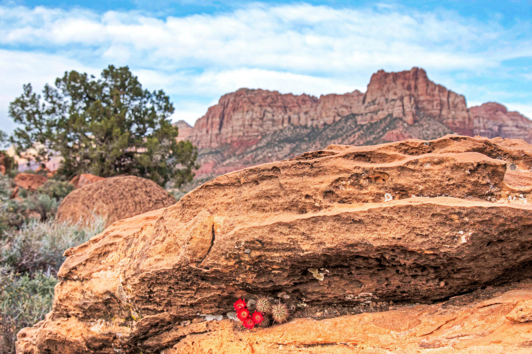 CANYON POINT - Land