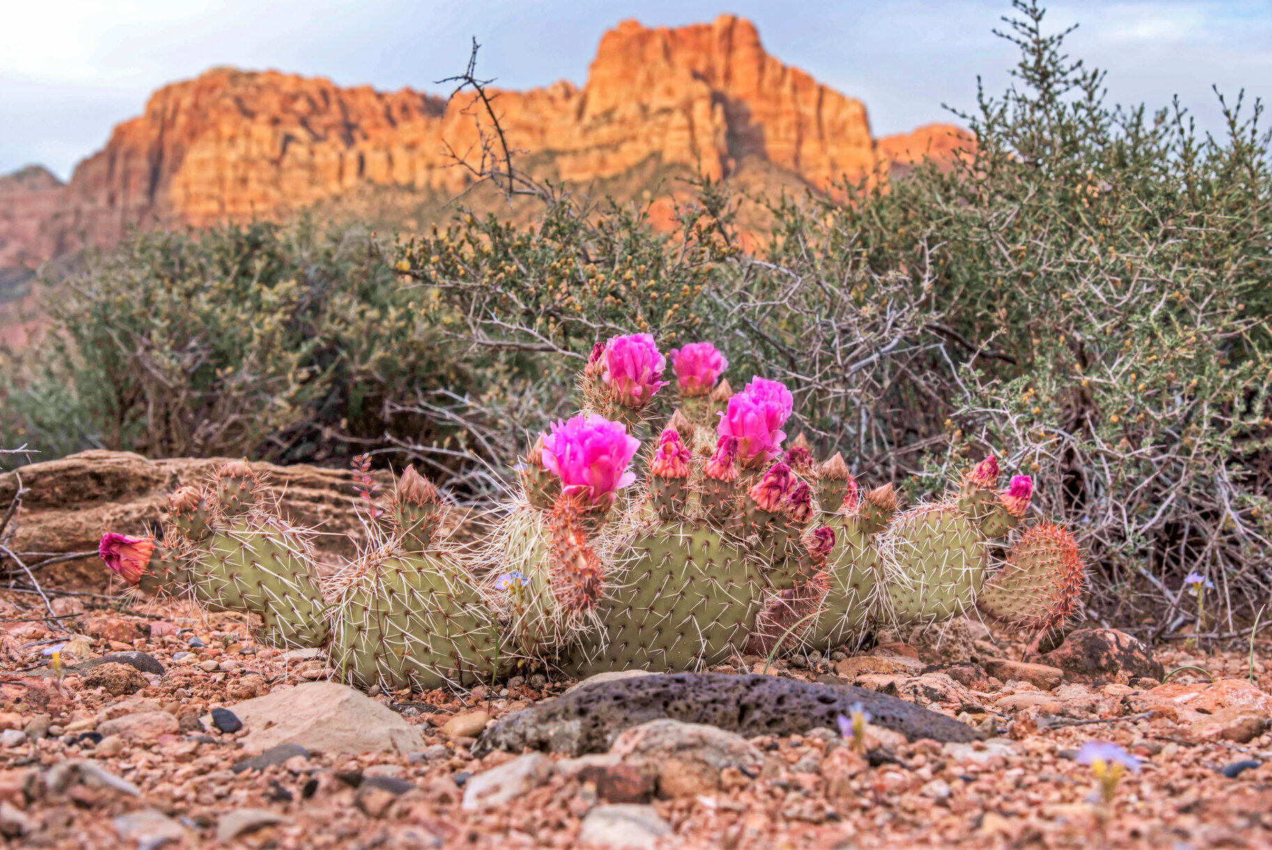 CANYON POINT - Land