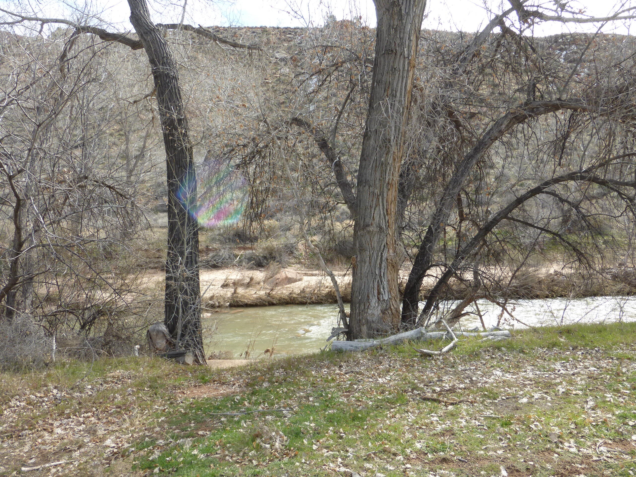 CANYON COTTONWOODS - Residential Income
