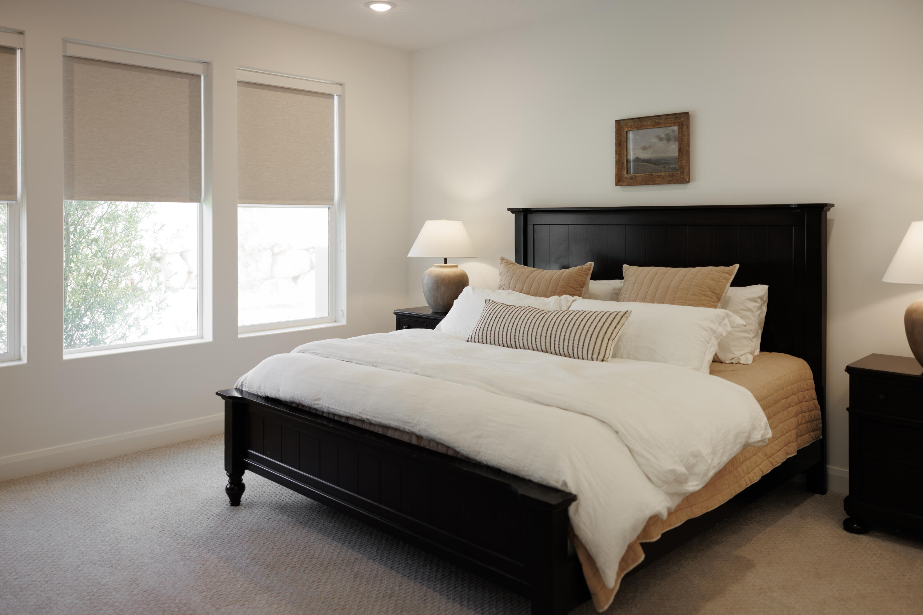DESERT COLOR SAGE HAVEN - Residential