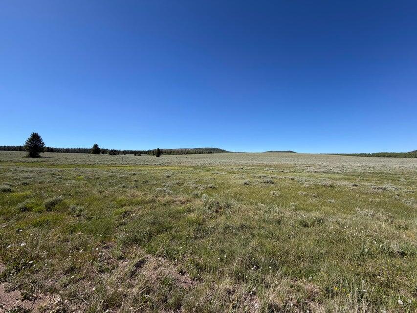 Warning: Side effects of owning this lot may include fresh mountain air, star-filled skies, and suddenly becoming ''the friend with the cabin.'' This vacant lot on E. Meadow Lake Drive is your blank canvas for creating the mountain retreat you've been daydreaming about. Whether you're planning a cozy cabin, a modern escape, or just want to own a slice of Brian Head before someone else does, this property is ready for your vision. Minutes from skiing, hiking, mountain biking, ATV trails, and endless outdoor adventure, you'll have four seasons of excuses to get away. Bring your builder, your imagination, and maybe a hammock--because mountain life is calling.