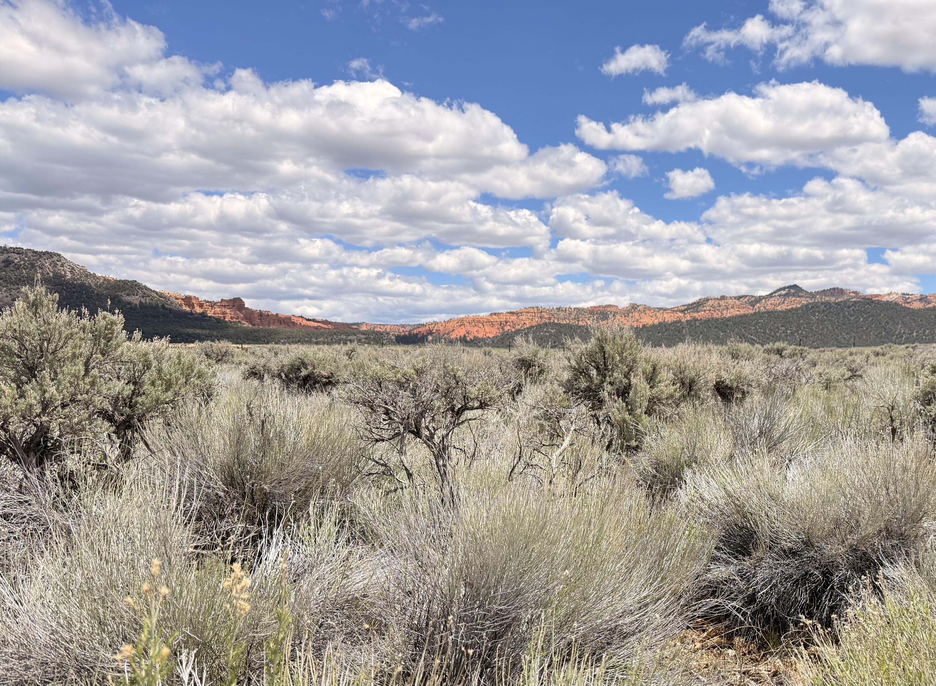 Flat lot with no HOA or CC&Rs and stunning panoramic views in every direction. Whether you're looking for the perfect basecamp getaway or a great investment property, this lot offers endless potential. Water would need to be hauled. Ideally located to enjoy all Southern Utah has to offer, including Bryce Canyon, Zion National Park, Panguitch Lake, and more and all while being less than 10 miles from the historic town of Panguitch!