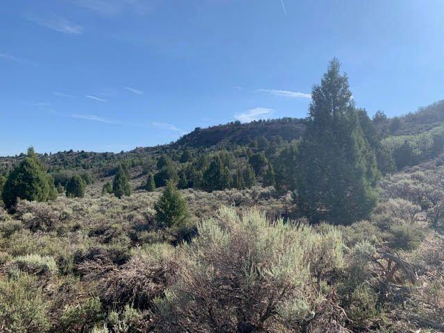 20 Acres, private & secluded. Near the junction of Hwy 14 and Hwy 89 in Long Valley. Awesome views & easy access. Perfect for cabin or small ranch. Fenced on 2 sides.