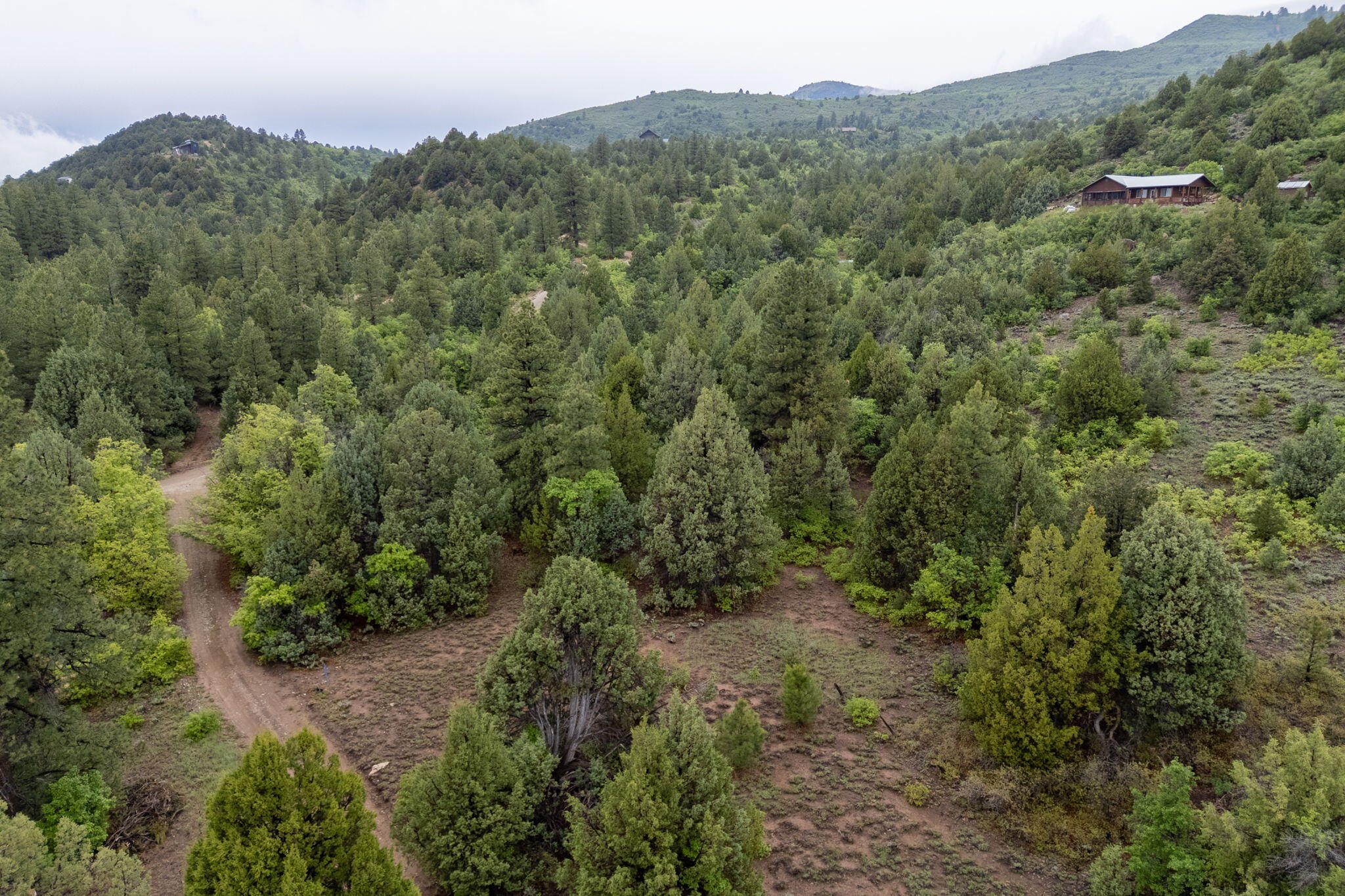 ZION PANORAMA - Land