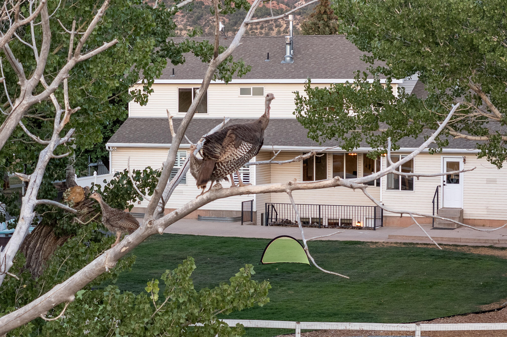 HARMON FARMS - Residential