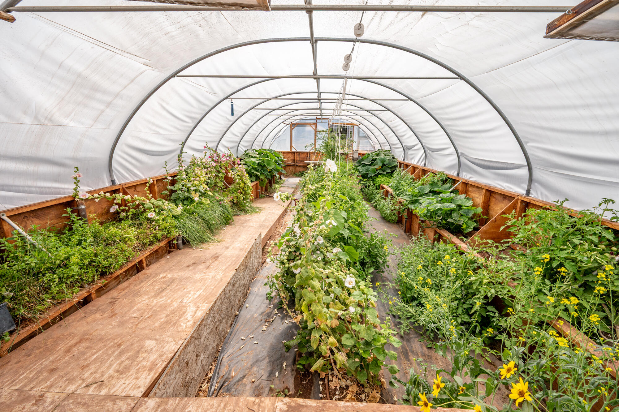 HARMON FARMS - Residential