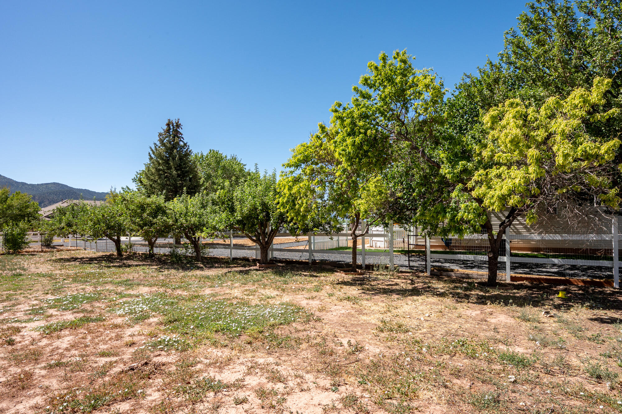 HARMON FARMS - Residential