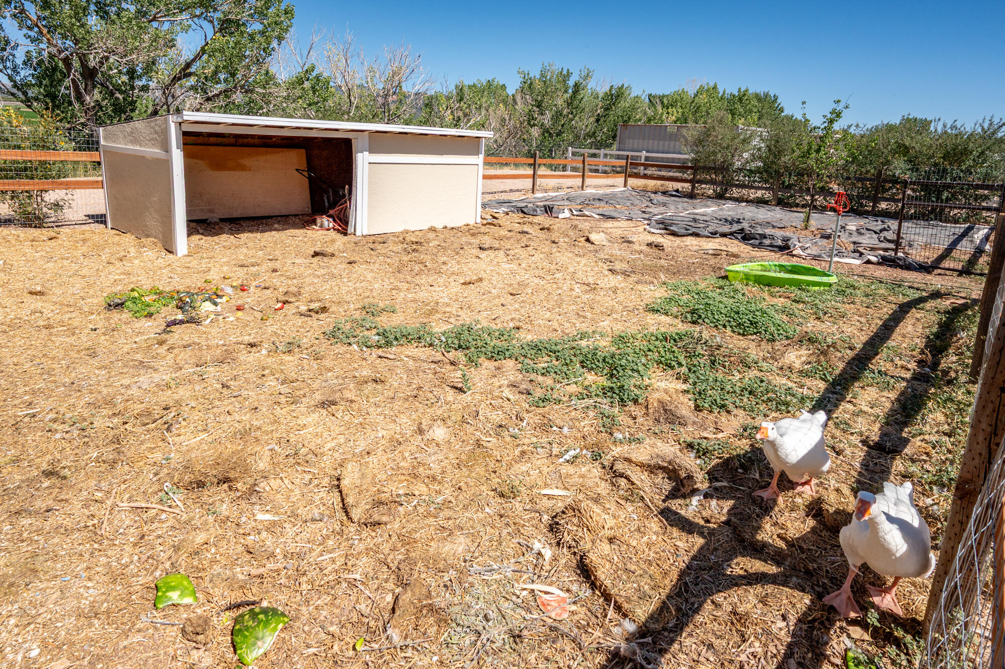 HARMON FARMS - Residential