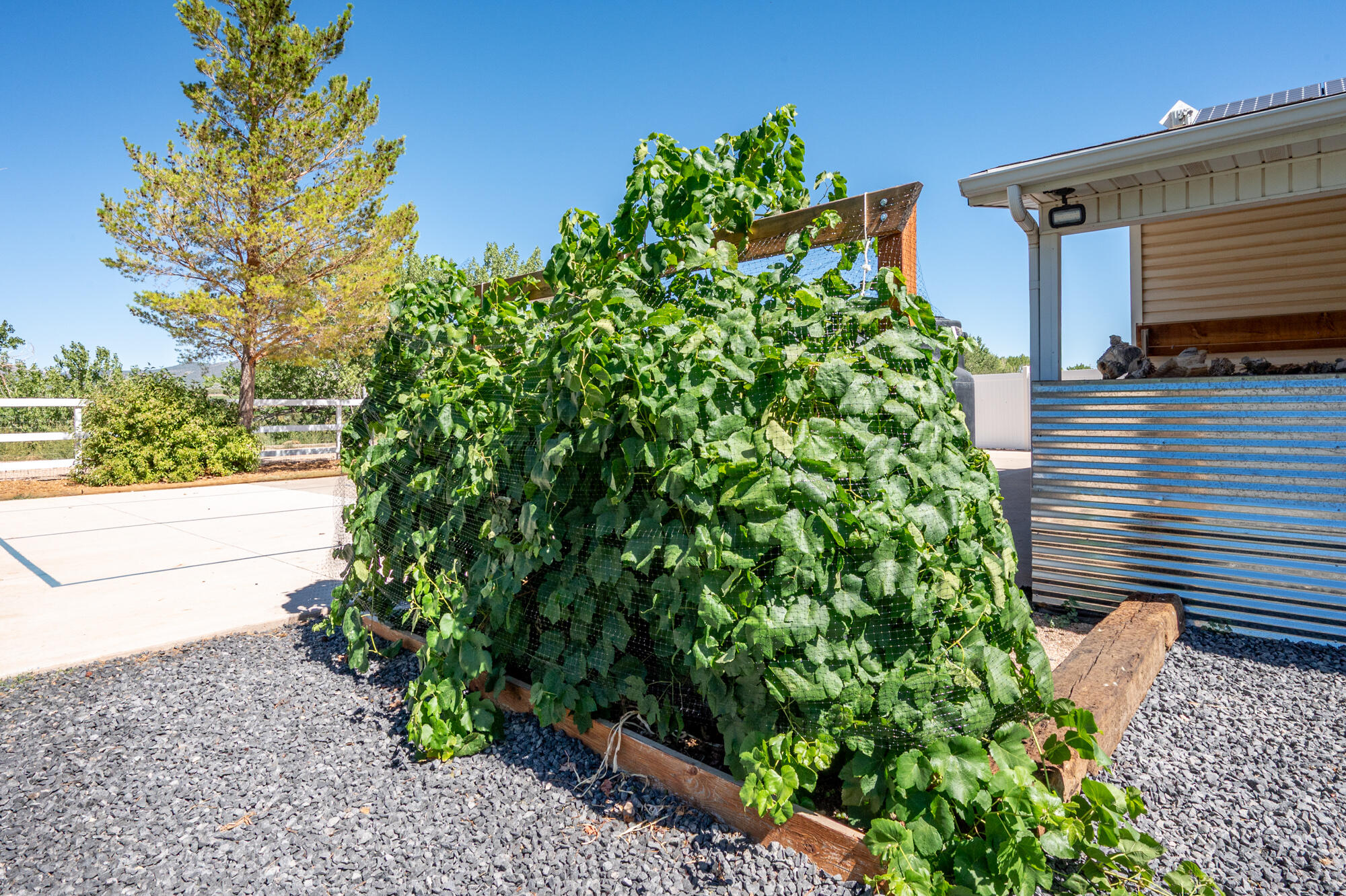 HARMON FARMS - Residential