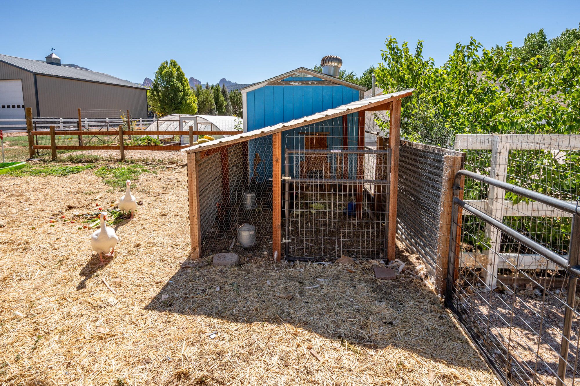 HARMON FARMS - Residential