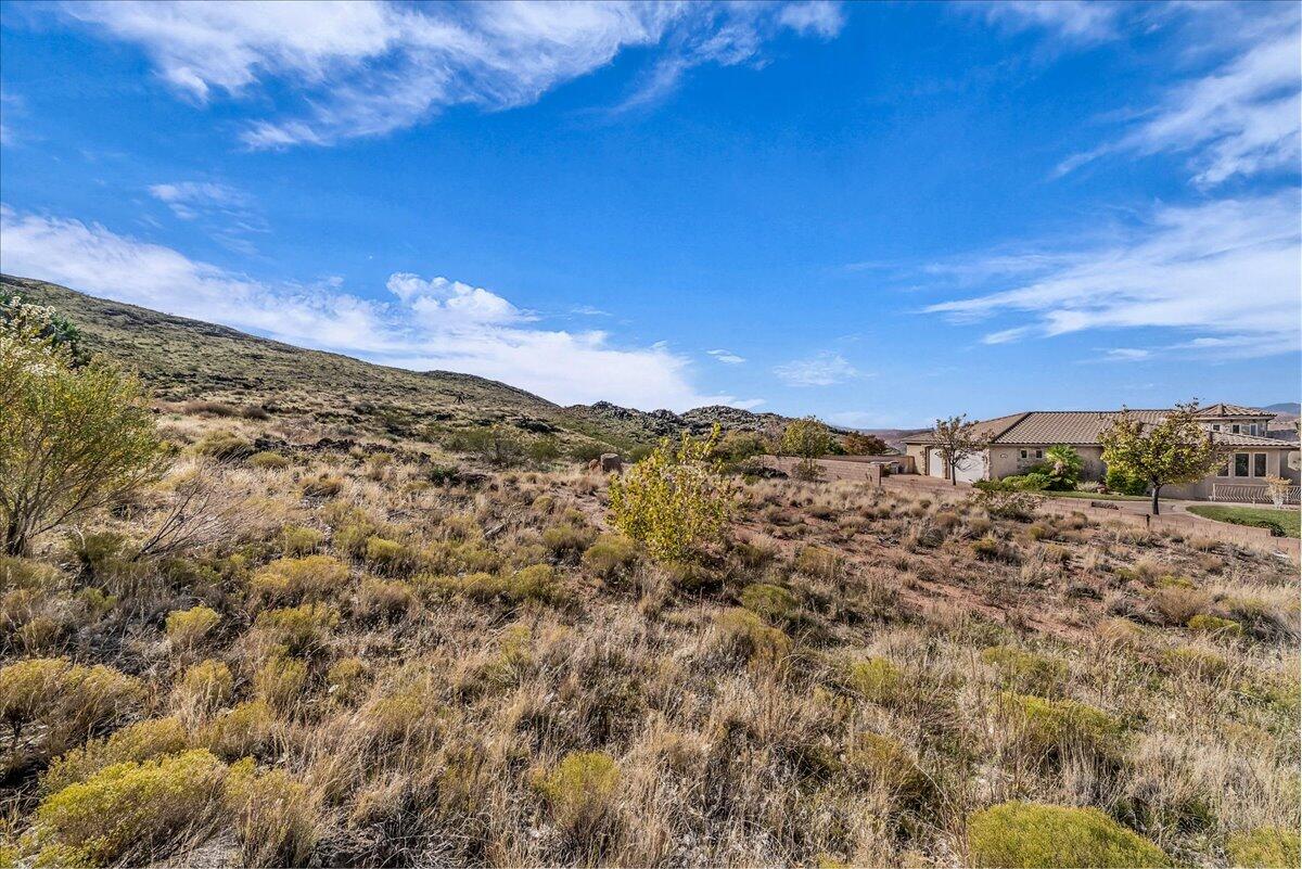 PAINTED HILLS RLINGTON HEIGHTS - Land