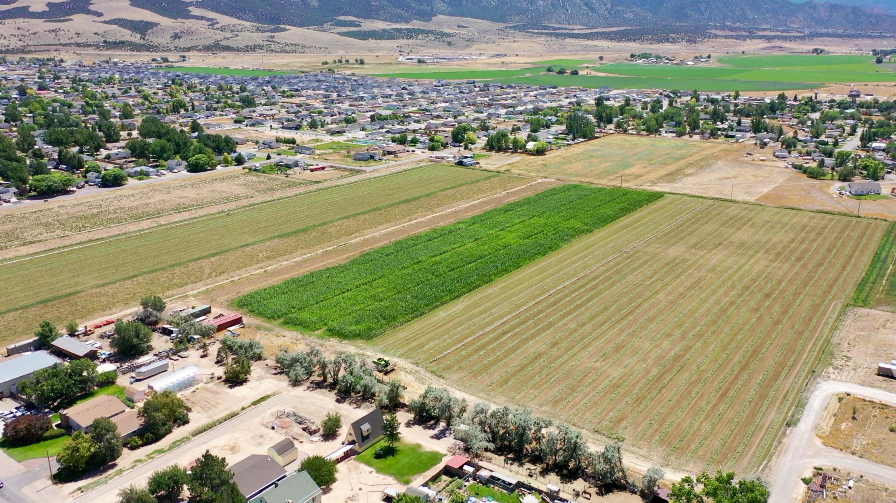 NOT AVAILABLE - Land