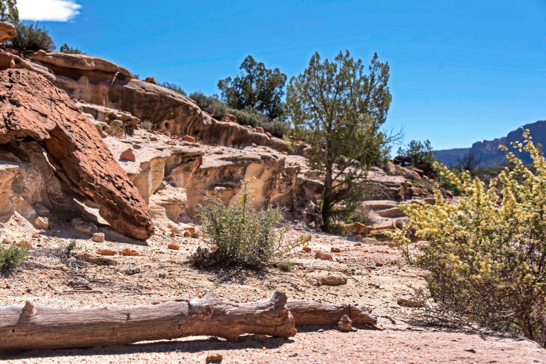 ANASAZI PLATEAU - Land