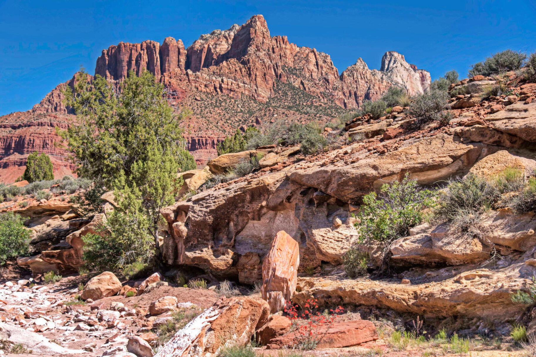 ANASAZI PLATEAU - Land