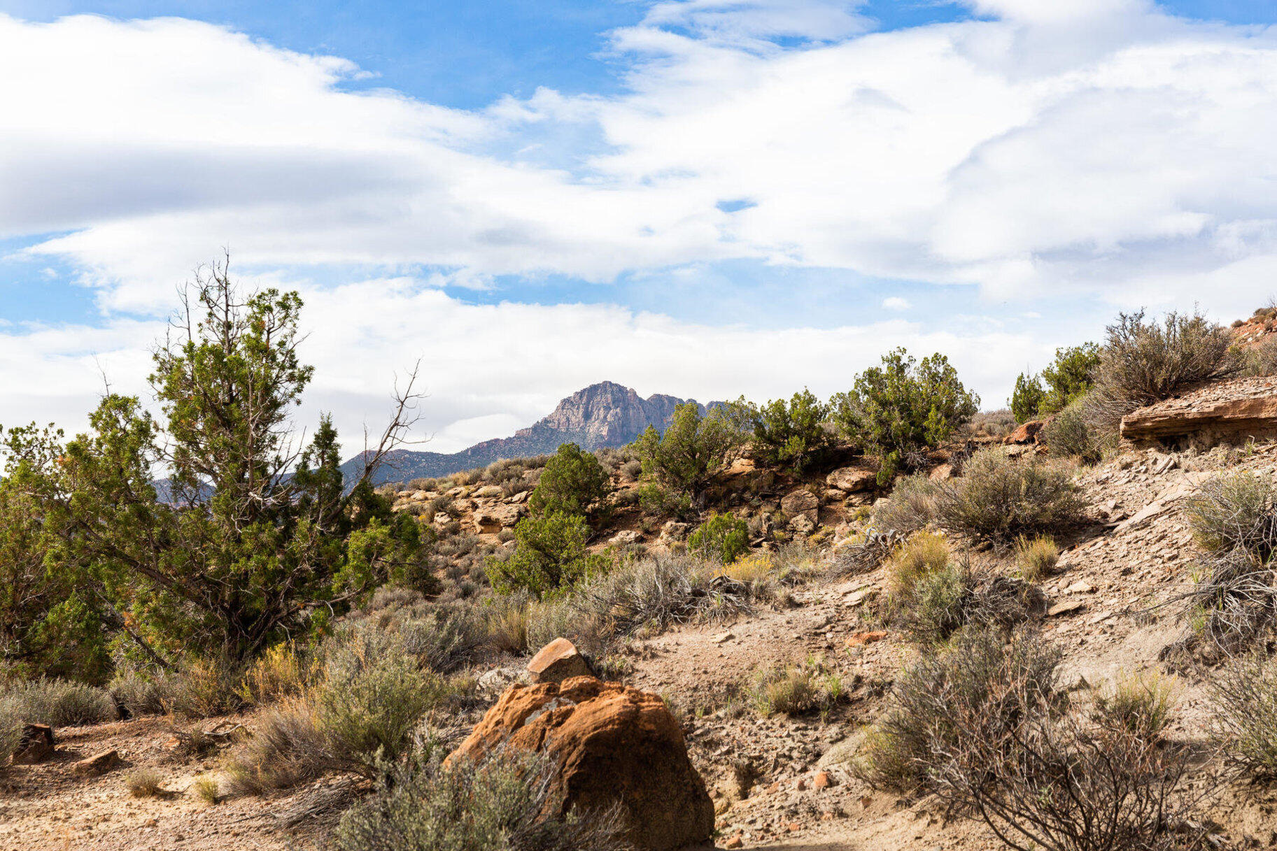 ANASAZI PLATEAU - Land