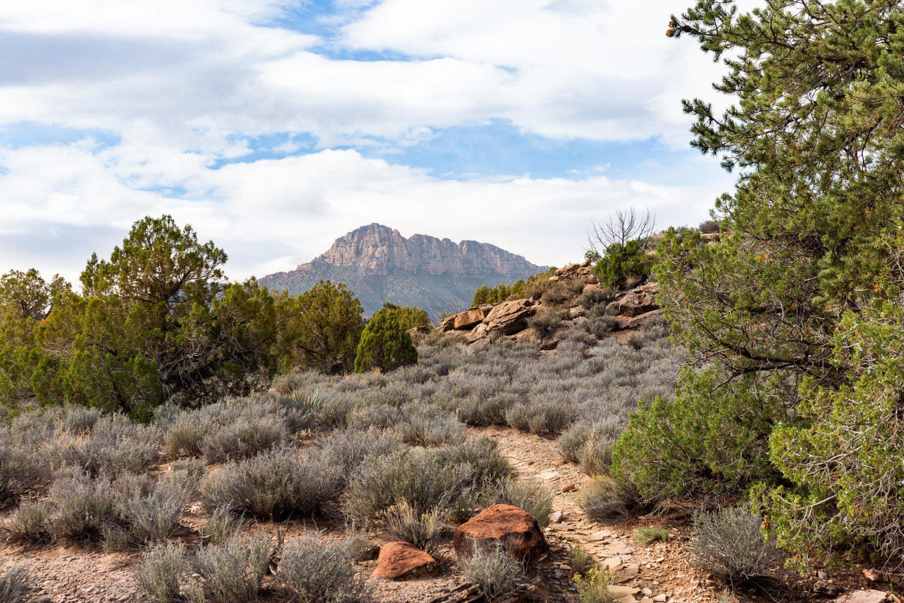 ANASAZI PLATEAU - Land
