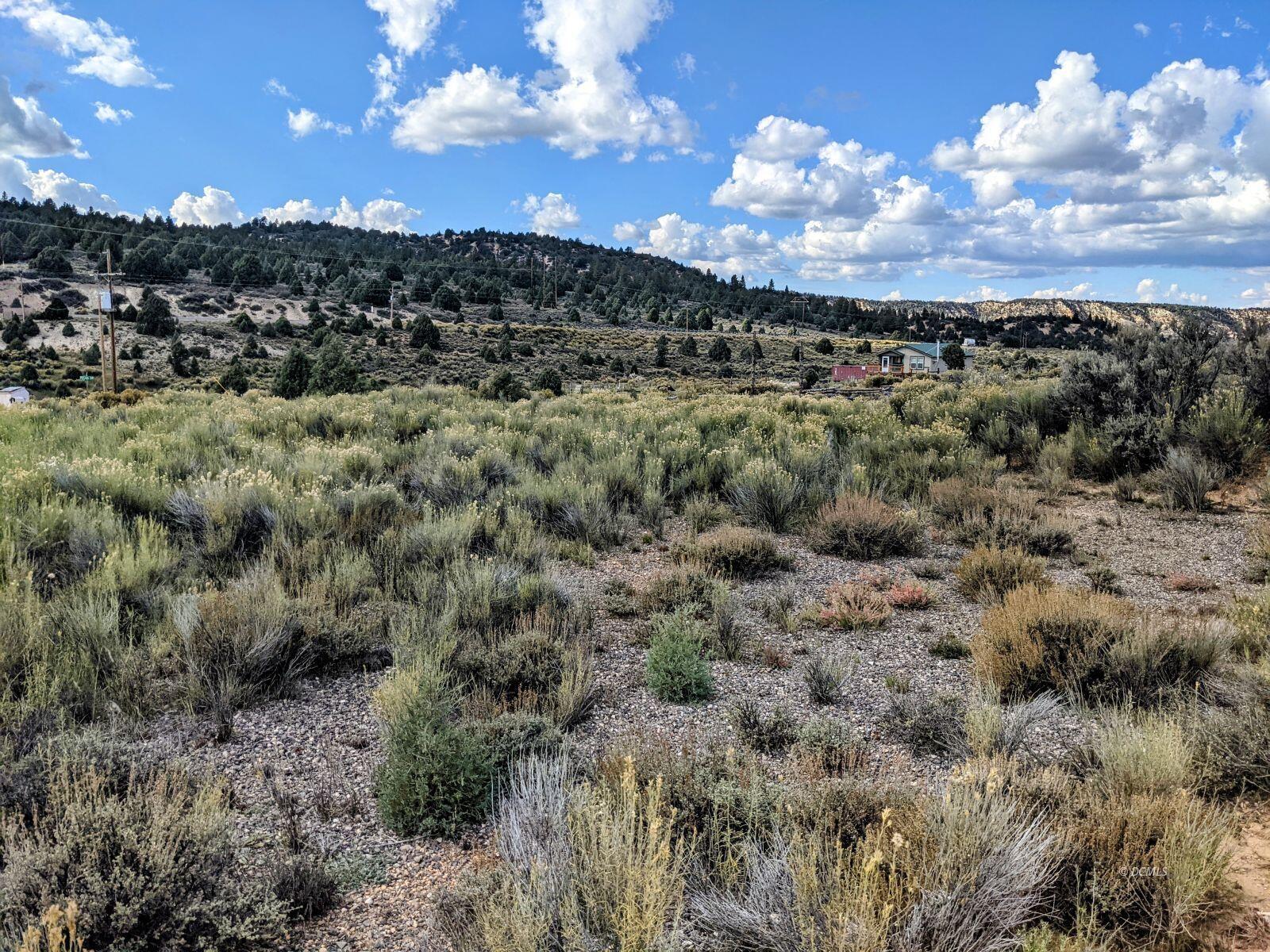 This large lot in Long Valley Estates perfect for building your new cabin or bring your RV in for the for the summer months. Located in a quiet neighborhood and only 45 minutes away from Zion National Park and Bryce! This vast and sweeping west facing lot has water meter installed and power on road. No HOA or CC&R's!