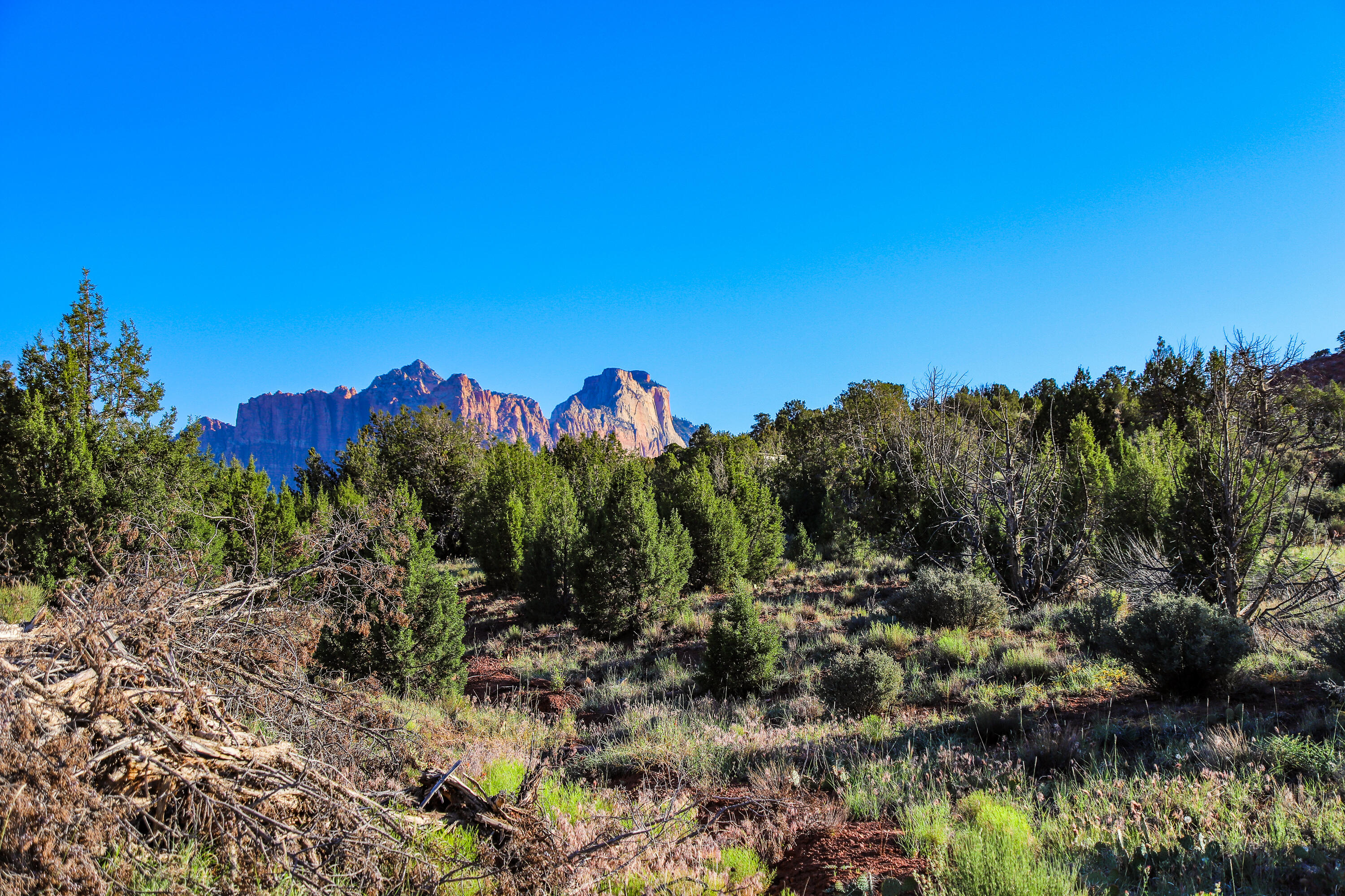 Tucked away in the rugged beauty of Southern Utah, this incredible .34-acre lot near Zion National Park offers a rare opportunity to own a truly off-the-grid piece of paradise in the Rockville area. If your clients are looking for peace, privacy, breathtaking scenery, and a place to escape the noise of everyday life, this property deserves a serious look.
Access to the property is by dirt road, and a 4-wheel drive vehicle, truck, or SUV is strongly recommended. This is not a subdivision lot with paved streets and curbs. This is Southern Utah adventure property at its finest. There are currently no utilities or services connected to the property, giving buyers the freedom to create their own recreational retreat while enjoying the untouched beauty of the surrounding landscape.

The views from this property are simply spectacular. Enjoy incredible panoramic scenery featuring iconic Southern Utah landmarks including the majestic White Throne, Eagle Crags, and sweeping valley views stretching to the south. The changing colors of the cliffs and mountains throughout the day create a setting that feels different every single time you visit.
This property would make an outstanding recreational getaway or basecamp for outdoor adventures. Bring a camper, enjoy weekends under the stars, and explore everything the surrounding area has to offer. Hiking, sightseeing, photography, ATV riding, and exploring the nearby public lands are all right at your fingertips. Opportunities like this are becoming harder and harder to find near Zion.
Whether someone is looking for a quiet place to disconnect, a private recreational retreat, or simply wants to invest in a unique piece of land near one of the most recognized national parks in the world, this lot offers tremendous potential and unforgettable scenery. BUYER TO VERIFY ALL INFORMATION