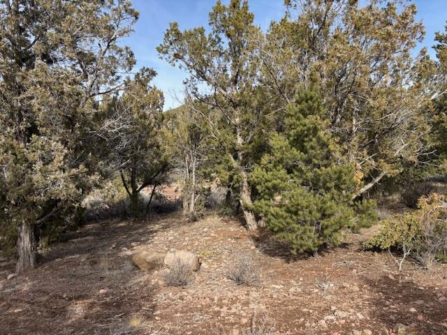 DIXIE DEER ESTATES - Land