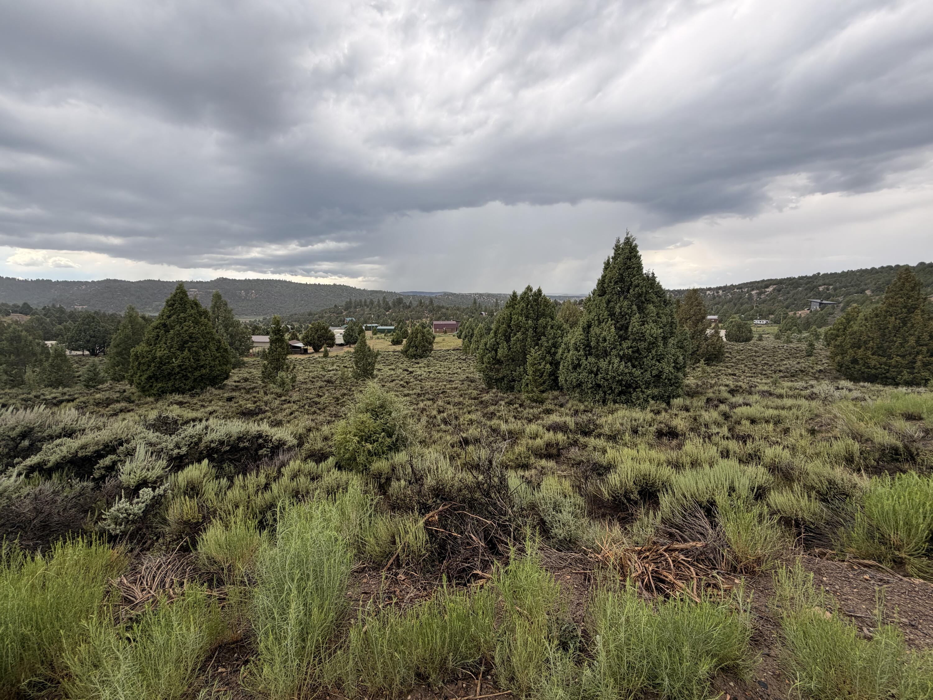 Beautiful 1.05-acre treed lot in Long Valley Estates, conveniently located just off Highway 89 near Todd's Junction. Bring your own builder and create the mountain retreat you've always wanted, or park your RV and start enjoying all that Southern Utah has to offer. RVs and boats are allowed, making this the perfect recreational getaway or future homesite.

Ideally situated near Zion National Park, Bryce Canyon National Park, Duck Creek Village, and endless opportunities for hiking, fishing, ATV/UTV trails, and year-round outdoor adventure. Winter access is available with advance scheduling for snow removal to the property. If you're looking for a peaceful mountain setting with easy access to some of Utah's best recreation, this property is ready for your vision.