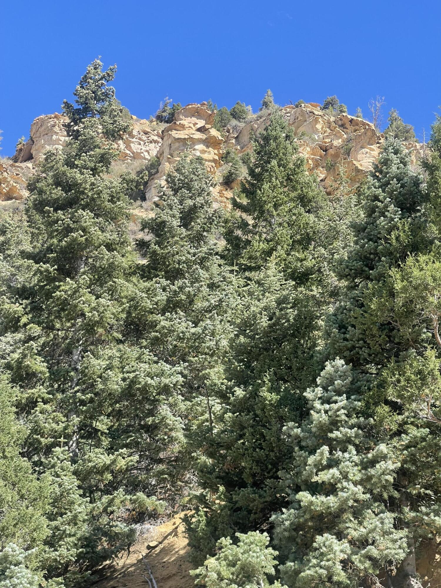 ASPEN MEADOWS - Land