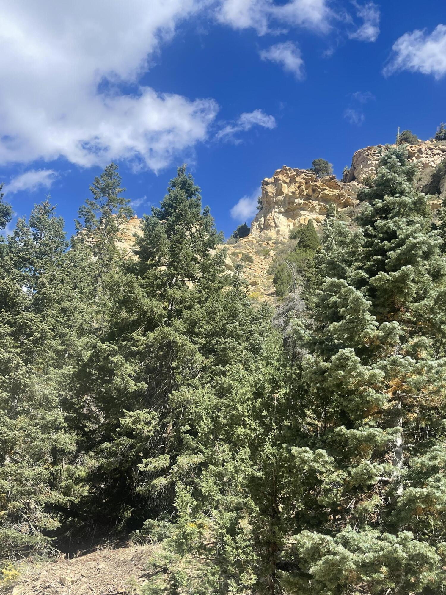 ASPEN MEADOWS - Land
