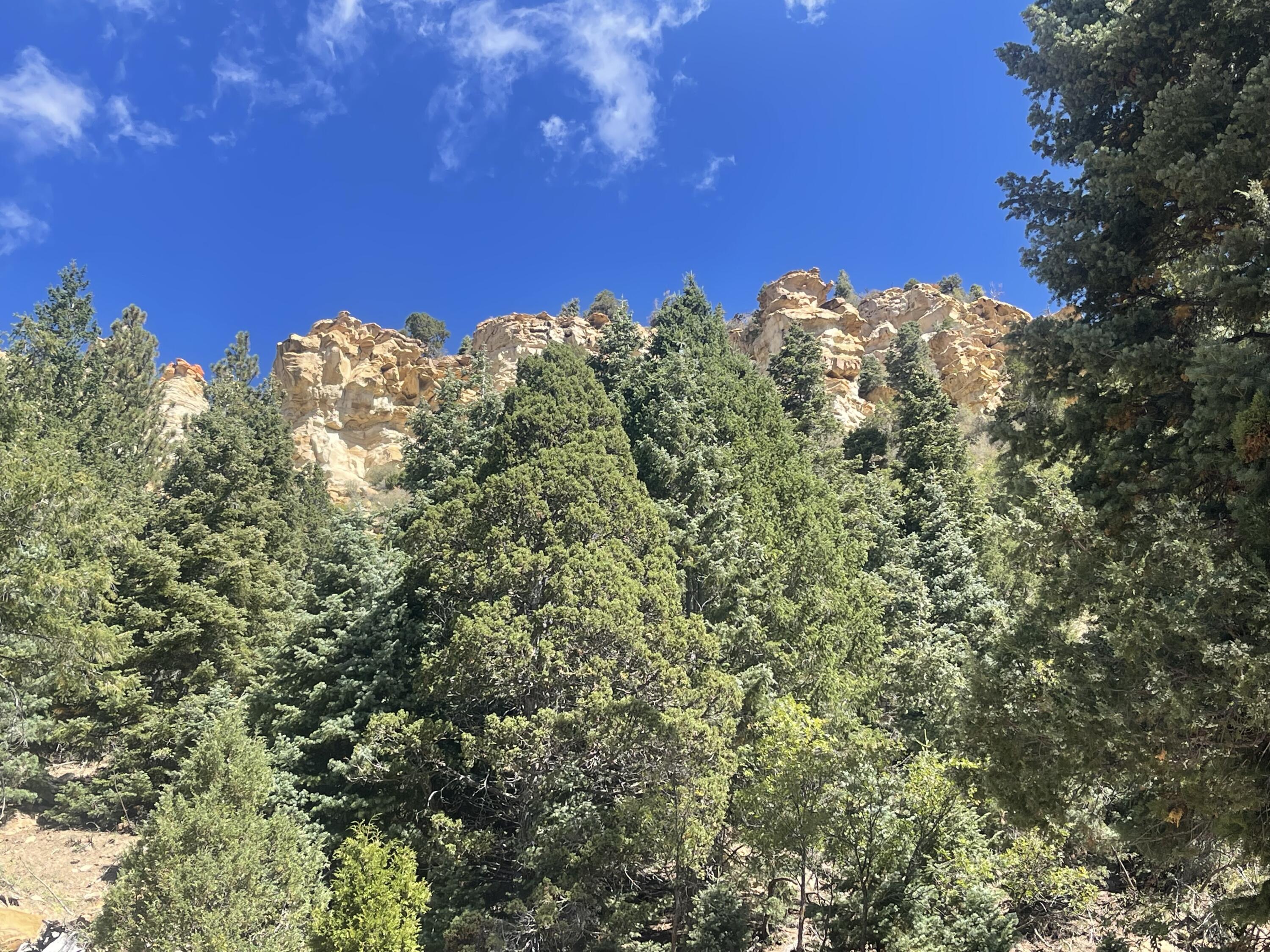 ASPEN MEADOWS - Land